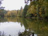 aldorf01