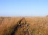 moorbahn