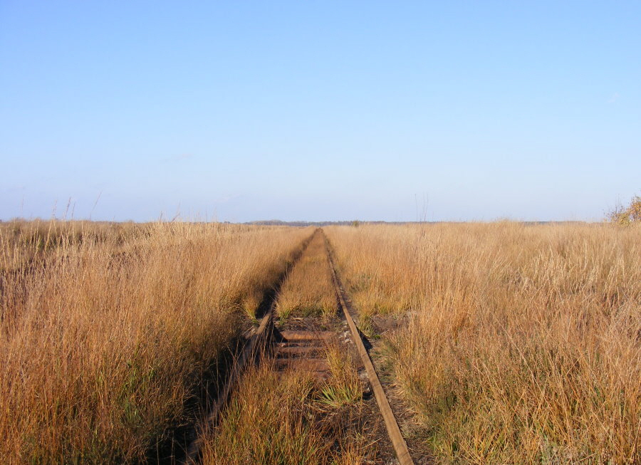 moorbahn